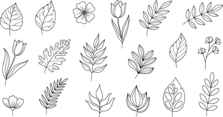 Minimalist botanical vector set featuring black leaves and floral silhouettes for nature-themed design, decoration, packaging, and educational use.