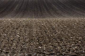 gepflügtes Feld, Erde