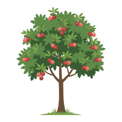 Fototapeta premium Rambutan tree with lush foliage and ripe red fruits – flat illustration