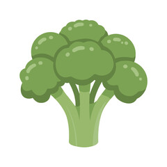 Cartoon broccoli illustration with green florets and stalk – flat illustration