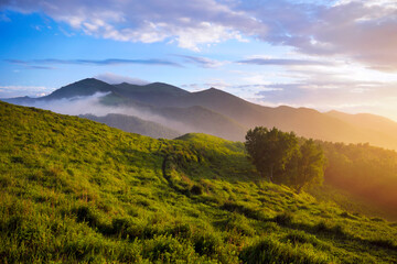 Golden sunlight bathes the green mountain landscape as clouds drift across the summer sky