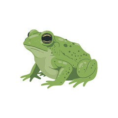 Obraz premium Green frog illustration – flat illustration