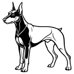 Black and white illustration of doberman dog standing sideways