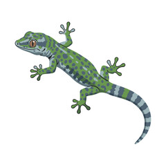 Fototapeta premium Colorful green and blue spotted gecko illustration – flat illustration