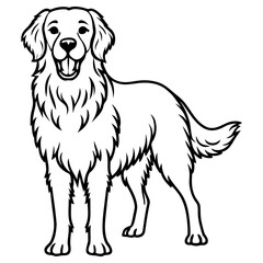 Cute golden retriever dog standing upright, line art illustration