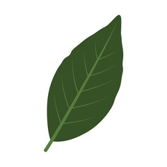 Obraz premium Simple green leaf illustration – flat illustration