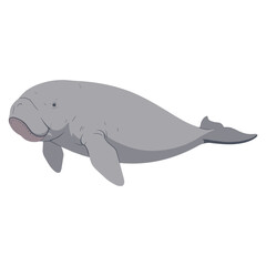 Obraz premium Illustration of a dugong swimming gracefully in ocean habitat – flat illustration