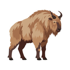 Illustration of a himalayan takin in profile view with thick fur &ndash; flat illustration