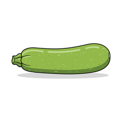 Fresh green zucchini illustration – flat illustration