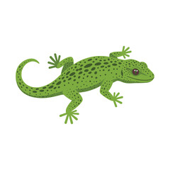 Green spotted gecko illustration with – flat illustration