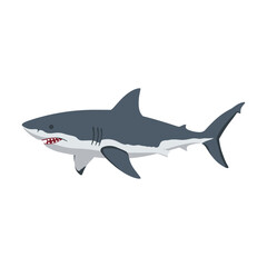 Fototapeta premium Great white shark illustration – flat illustration