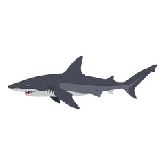 Obraz premium Illustration of a great white shark swimming in the ocean – flat illustration