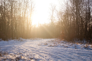 Winter in the Harz mountains