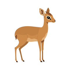 Fototapeta premium Illustrated dik-dik antelope side view – flat illustration