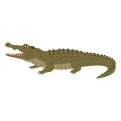 Fototapeta premium Cartoon crocodile illustration with open mouth – flat illustration