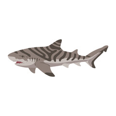 Fototapeta premium Illustration of a tiger shark – flat illustration