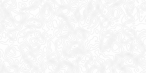 Fototapeta premium Abstract minimal diagram vector Lines Topographic contour lines grid pattern. discovery topology map relief. white topo area lines background. Topo contour map design. 