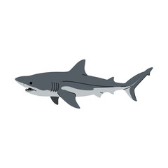 Obraz premium Great white shark illustration in profile – flat illustration
