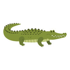 Colorful cartoon crocodile illustration – flat illustration