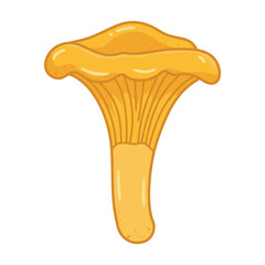 Detailed illustration of a yellow chanterelle mushroom &ndash; flat illustration