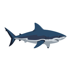 Obraz premium Cartoon great white shark illustration in profile – flat illustration