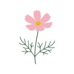 Pink cosmo flower with green leaves – flat illustration
