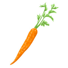 carrot fruit botanical digital painting