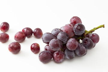 葡萄　白バック