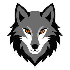 Fototapeta premium wolf head isolated on white