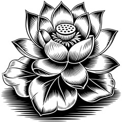 Water Lotus Vector SVG