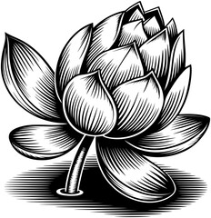 Single Lotus Vector SVG