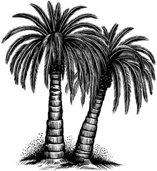 Twin Palm Beach SVG Illustration