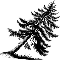 pine tree silhouette