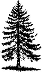 vector illustration of a tree