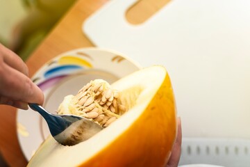Hands using a metal spoon to extract seeds from a selectively bred ripe melon for drying and sprouting in new melon cultivation