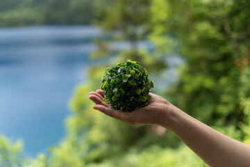 新緑の森で植物を持つ手	