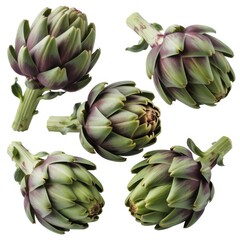 Fototapeta premium Scattered green artichokes on white background