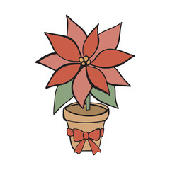 flower in a pot