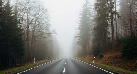 Fototapeta premium Eerie drive through foggy forest landscape perfect for moody thrillers or travel adventure concepts