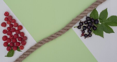 Ripe raspberries and black currants with leaves on pastel colored background. Fresh organic fruits for healthy eating, flat lay composition, concept of natural food, vitamins, antioxidants, diet.