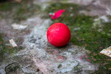 A bright red ball rests on a mossy, textured surface