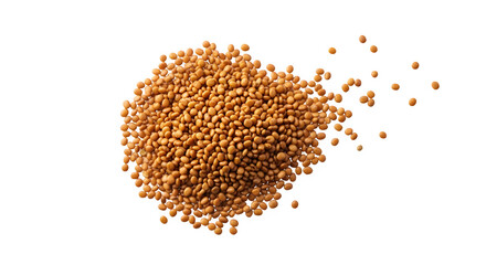 Close-up macro view of golden wheat grains scattered isolated isolated on transparent background