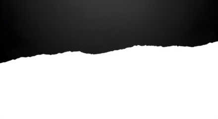 Abstract dark silhouette landscape with mysterious fog and distant lights evening cityscape isolated on transparent background