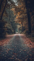 Autumnal forest path, paved with fallen leaves