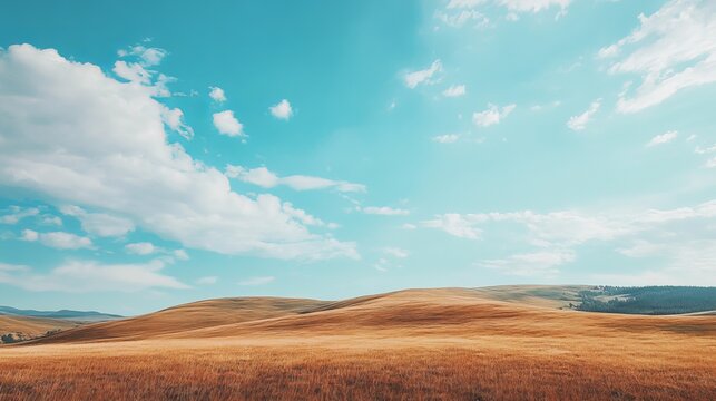 Expansive golden-brown grasslands meet a vibrant cerulean sky, dotted with fluffy white clouds. Gentle hills roll across the landscape