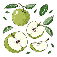 Create a high-resolution, realistic image of several fresh green apples (Granny Smith variety) arranged artistically on a white background. Include a mix of whole apples, halved apples, and apple slic