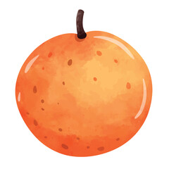 Orange illustration, orange clip art, orange vector, orange fruit clipart, hand drawn watercolor painting style illustration, isolated on white background