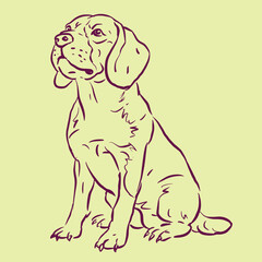dog illustration vector for illustration card decoration
