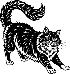 black cat vector illustration