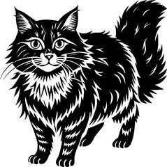 vector illustration of cat